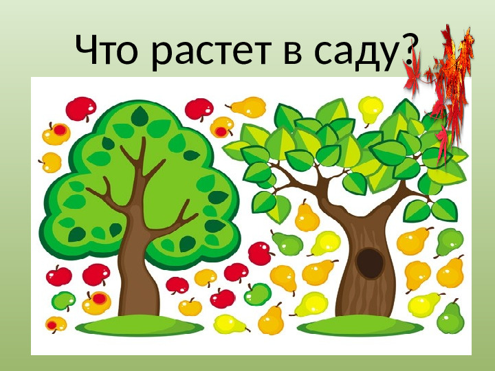 Презентация "Осенний урожай" (прилагается к конспекту "Осенний урожай")