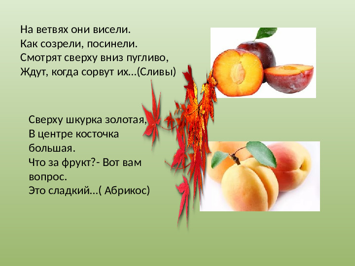 Презентация "Осенний урожай" (прилагается к конспекту "Осенний урожай")