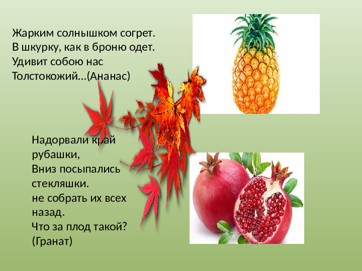 Презентация "Осенний урожай" (прилагается к конспекту "Осенний урожай")