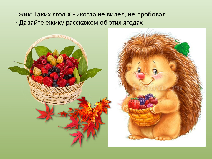 Презентация "Осенний урожай" (прилагается к конспекту "Осенний урожай")