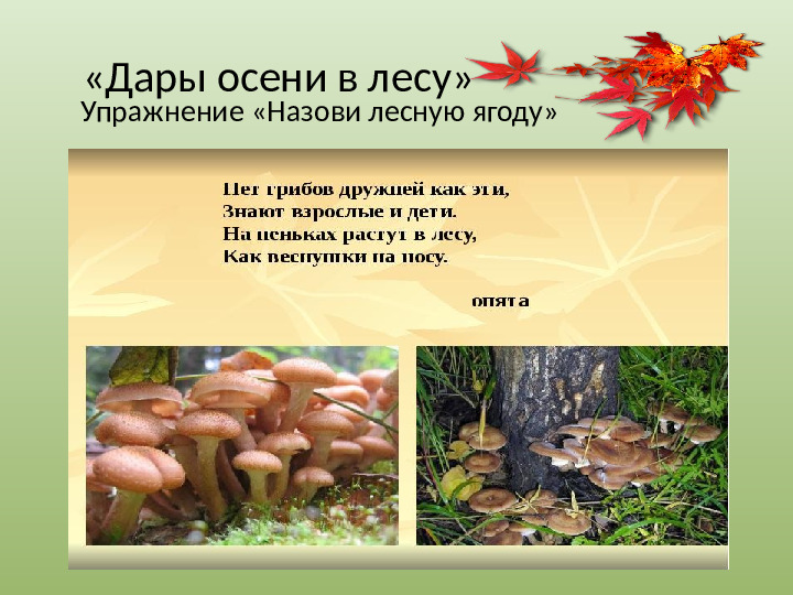 Презентация "Осенний урожай" (прилагается к конспекту "Осенний урожай")