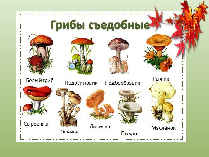 Презентация "Осенний урожай" (прилагается к конспекту "Осенний урожай")