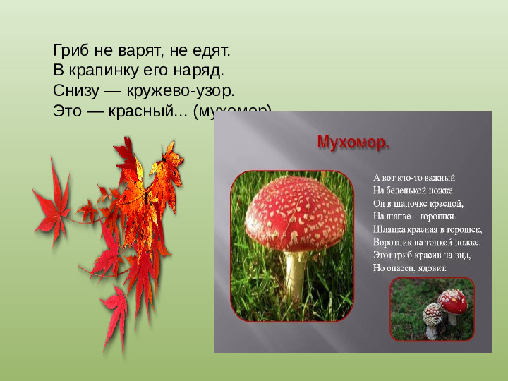 Презентация "Осенний урожай" (прилагается к конспекту "Осенний урожай")