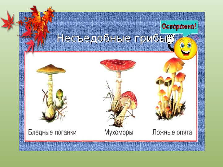 Презентация "Осенний урожай" (прилагается к конспекту "Осенний урожай")