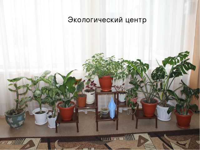 Презентация предметно развивающая среда