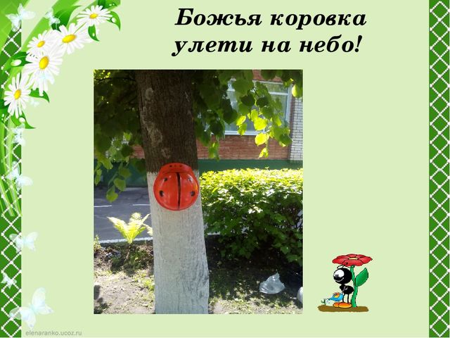 Проект по благоустройству участка детского сада