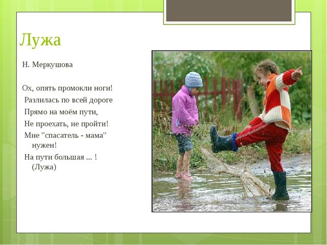 ПРЕЗЕНТАЦИЯ ПО ОКРУЖАЮЩЕМУ МИРУ "Загадки про лето"