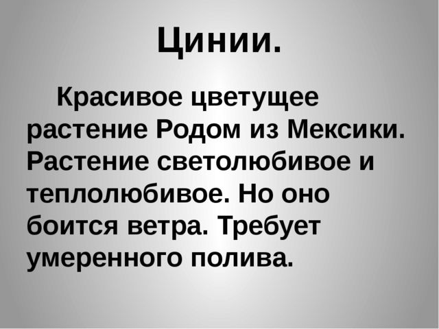 Презентация "Цветы нашего сада" Лалетина Ксения Васильевна