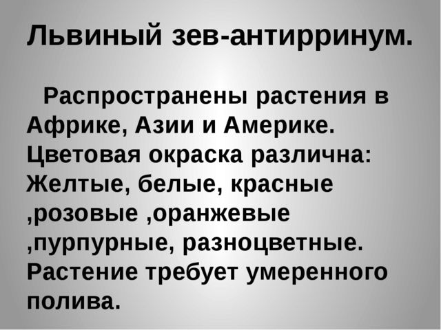 Презентация "Цветы нашего сада" Лалетина Ксения Васильевна