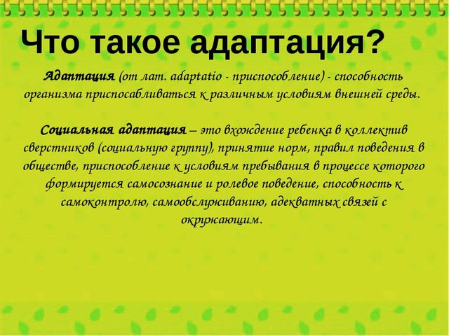 Адаптация детей в младшей группе