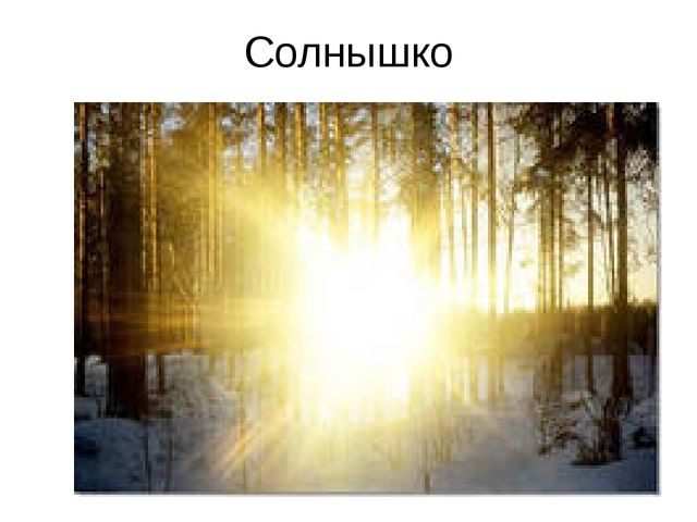 Презентация "Путешествие в лесу"