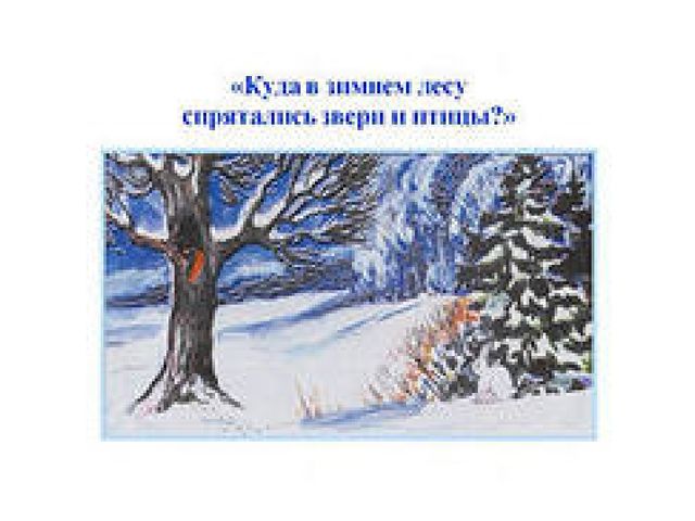Презентация "Путешествие в лесу"