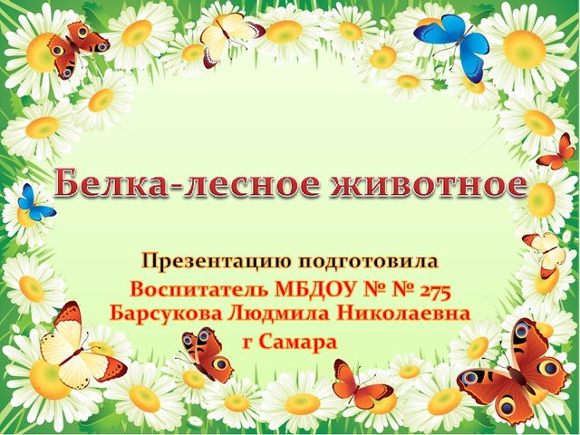 Презентация на темы " Белка-лесное животное"
