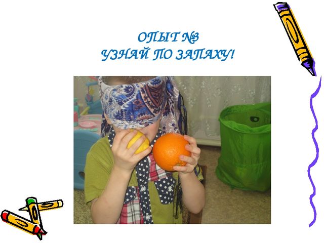 Проект "Овощи, фрукты, ягоды - полезные продукты" в старшей группе "Улыбка"