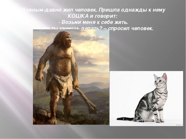 Презентация к организованной образовательной деятельности с детьми подготовительной группы по теме "Домашние животные"