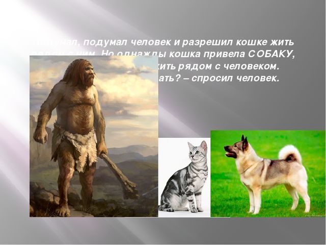 Презентация к организованной образовательной деятельности с детьми подготовительной группы по теме "Домашние животные"
