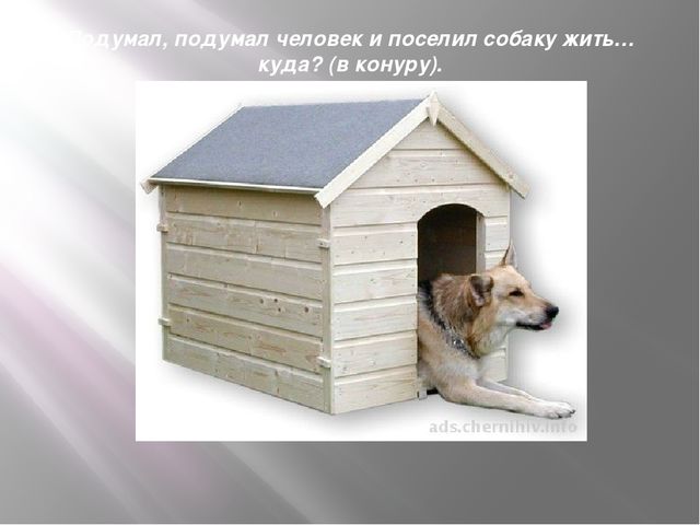 Презентация к организованной образовательной деятельности с детьми подготовительной группы по теме "Домашние животные"