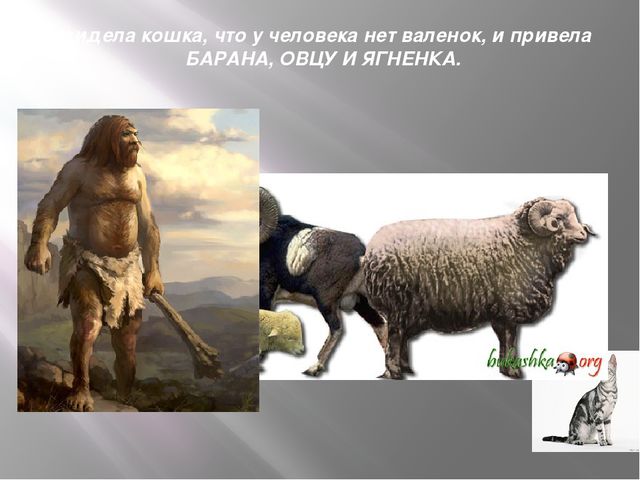 Презентация к организованной образовательной деятельности с детьми подготовительной группы по теме "Домашние животные"