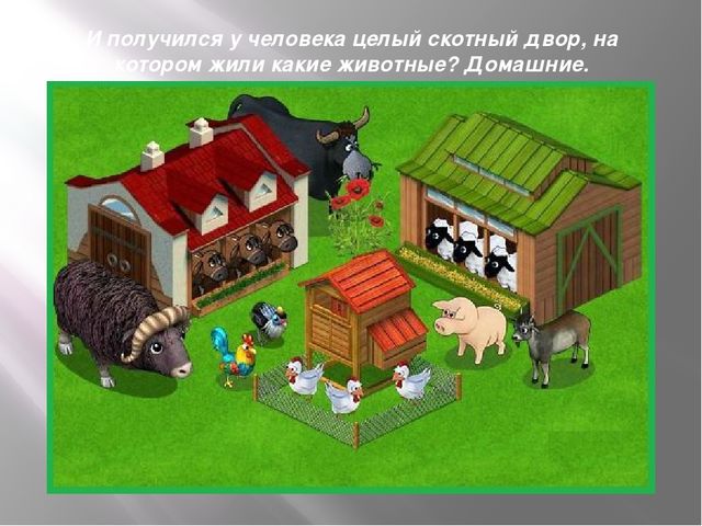 Презентация к организованной образовательной деятельности с детьми подготовительной группы по теме "Домашние животные"