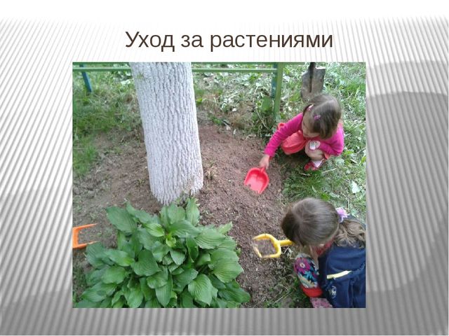 Занятие по развитию речи с использованием "Планов-схемы Т.А. Ткаченко "