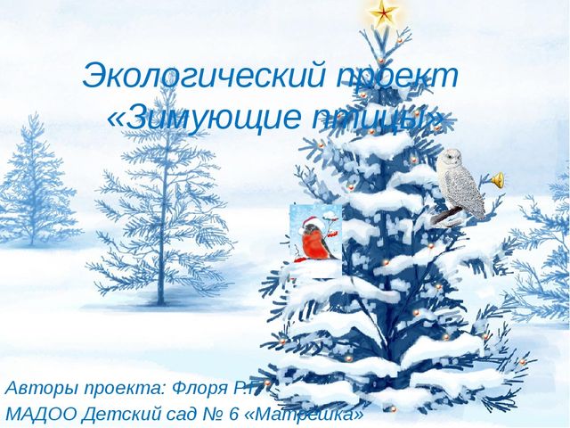 Презентация экологический проект "Зимующие птицы"