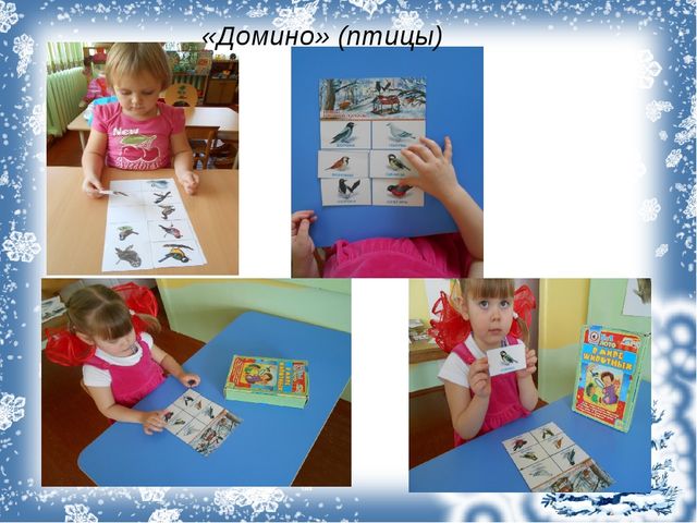 Презентация экологический проект "Зимующие птицы"