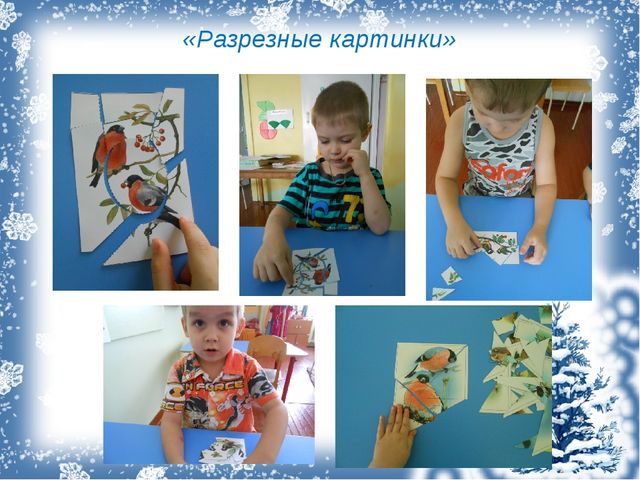 Презентация экологический проект "Зимующие птицы"