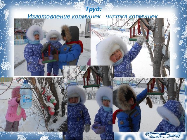 Презентация экологический проект "Зимующие птицы"