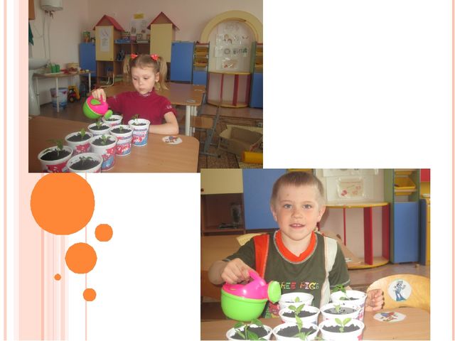 Презентация "Наш любимый детский сад"