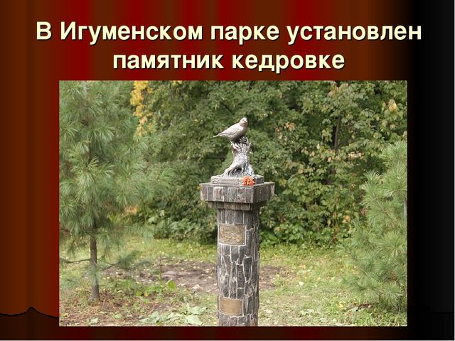 Презентация - патриотическое воспитание "Памятники Томска"
