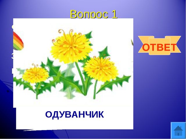 Интерактивная игра "Друзья природы" для дошкольного возраста