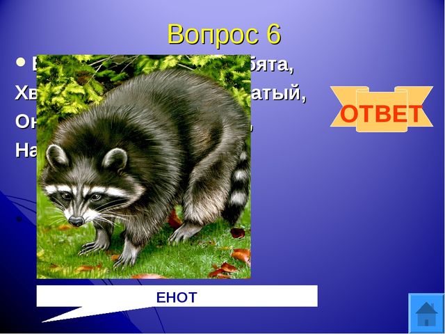 Интерактивная игра "Друзья природы" для дошкольного возраста