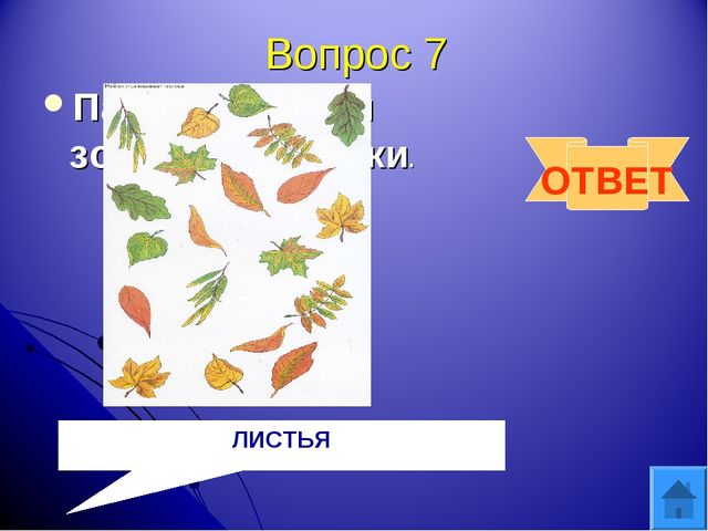 Интерактивная игра "Друзья природы" для дошкольного возраста