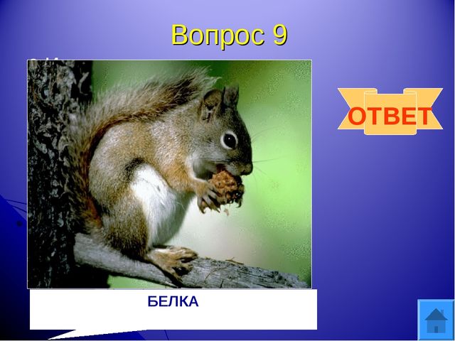 Интерактивная игра "Друзья природы" для дошкольного возраста