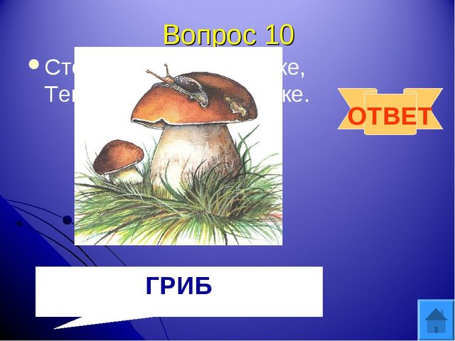 Интерактивная игра "Друзья природы" для дошкольного возраста