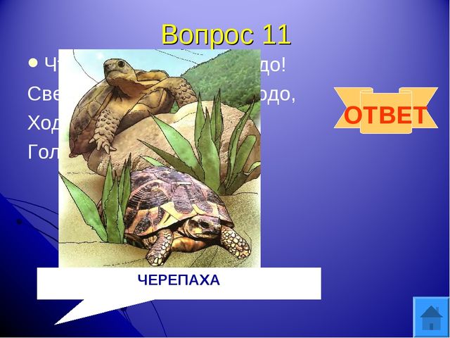 Интерактивная игра "Друзья природы" для дошкольного возраста