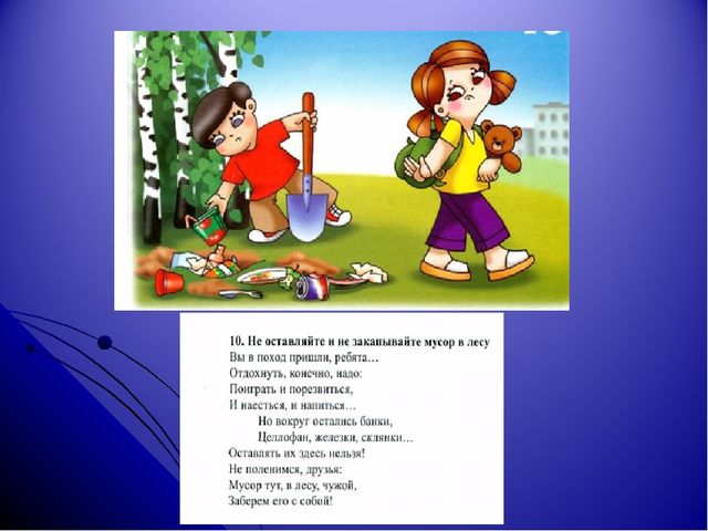 Интерактивная игра "Друзья природы" для дошкольного возраста