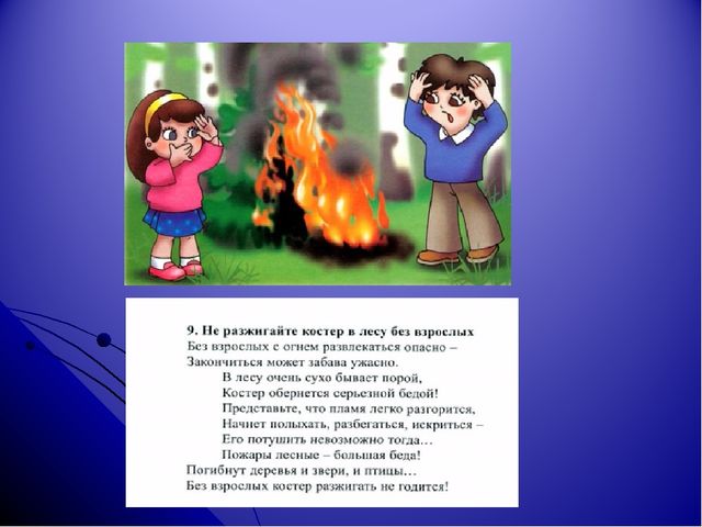 Интерактивная игра "Друзья природы" для дошкольного возраста