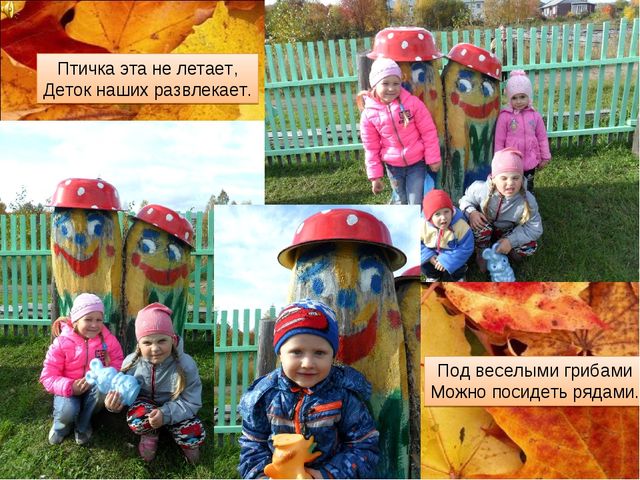Презентация участка "Осенняя фантазия"