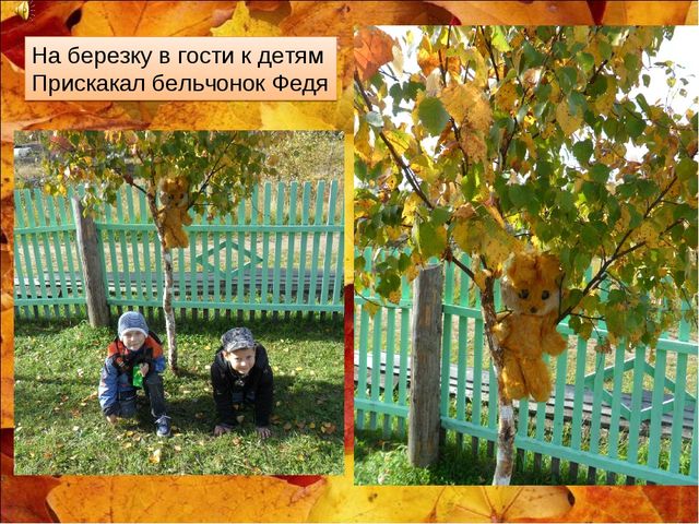Презентация участка "Осенняя фантазия"