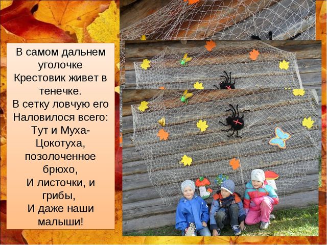 Презентация участка "Осенняя фантазия"
