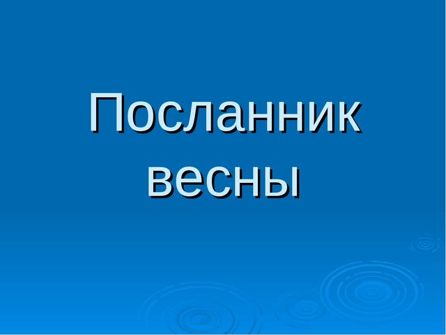 Презентация на тему "Посланник весны"