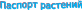 Shape1