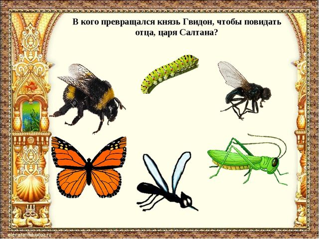 Викторина по сказкам А.С. Пушкина для детей старшего дошкольного возраста