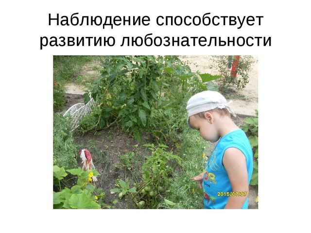 Презентация по экологическому воспитанию " наш весёлый огород"