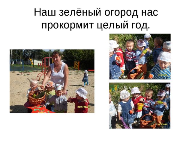 Презентация по экологическому воспитанию " наш весёлый огород"