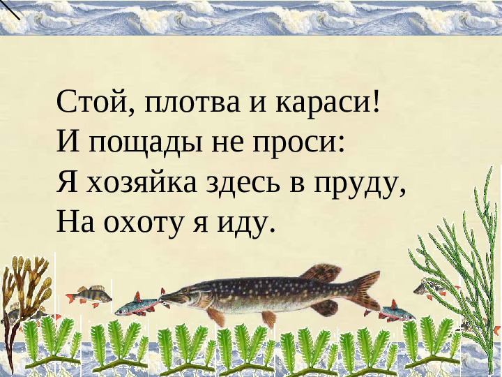 Презентация на тему "Про рыбок"
