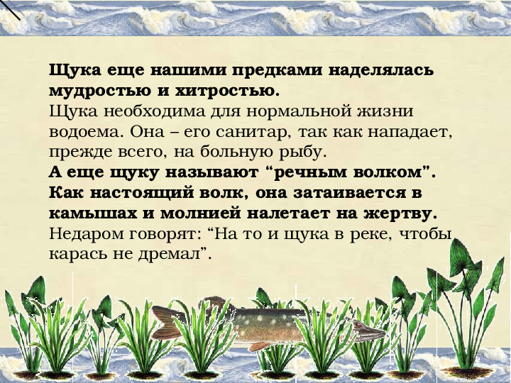 Презентация на тему "Про рыбок"
