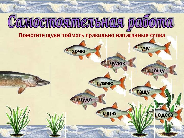 Презентация на тему "Про рыбок"