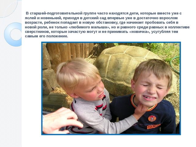 Презентация статьи: Проблемы социализации детей 4-7 лет в условиях пребывания в группах кратковременного пребывания.